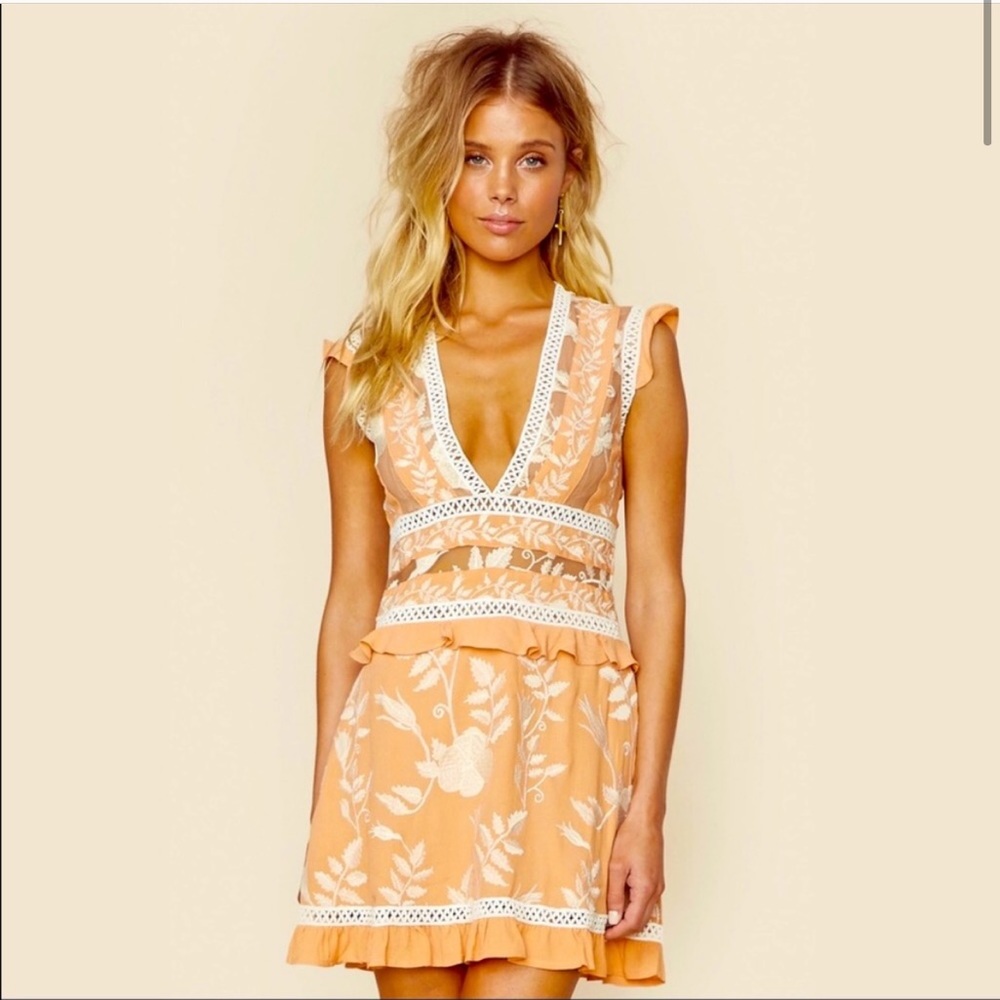 For love and lemons Mia paneled dress